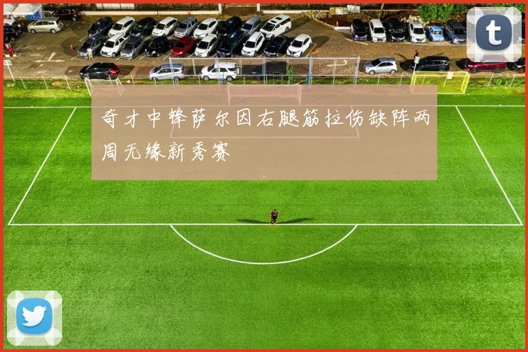 奇才中锋萨尔因右腿筋拉伤缺阵两周无缘新秀赛